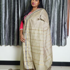 Arani Tusser Saree