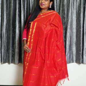 Arani Red Saree